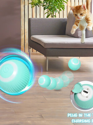 Jouets intelligents pour chats